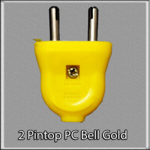 2 Pin Top PC Gold Aadhish