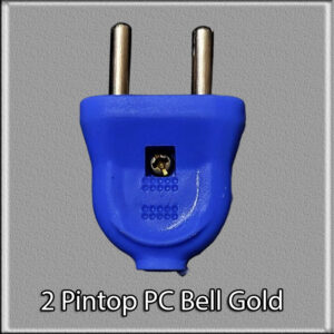 2 Pin Top PC Gold Aadhish